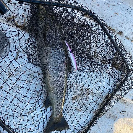 Porontima House In Pure Nature Вилла