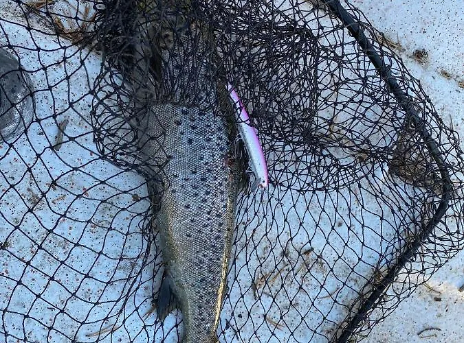 Porontima House In Pure Nature 别墅